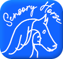 Sensory Horse